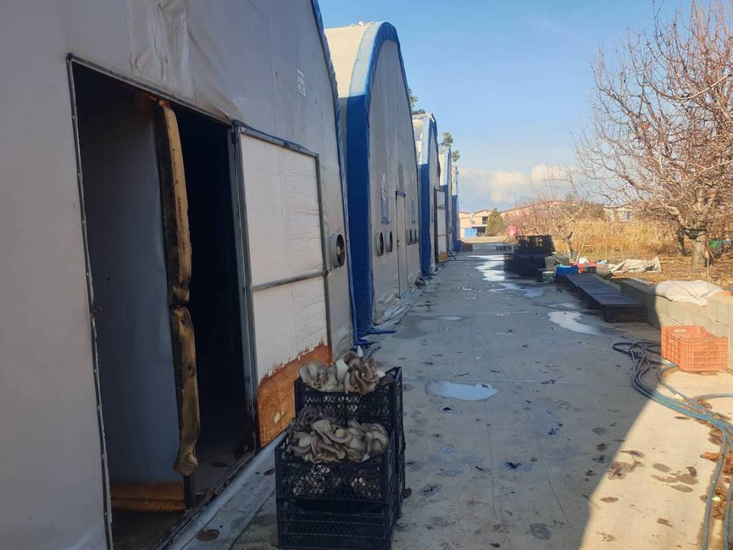 Köyünde sıfırdan sistem kurdu: Yılda 1 milyon 400 bin TL kazanıyor! Para oluk oluk akıyor, yatırım dediğin böyle olur 5